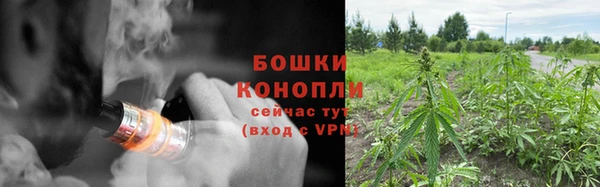 эйфоретик Болхов