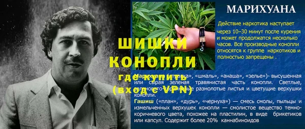 стаф Магадан