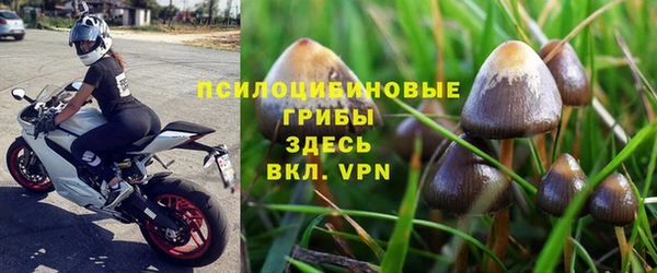 сатива Кукмор