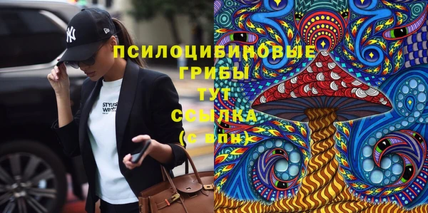 молекула духа Лагань
