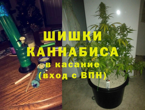 спайс Магас