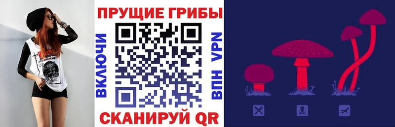 продажа наркотиков  Киржач  Псилоцибиновые грибы ЛСД 
